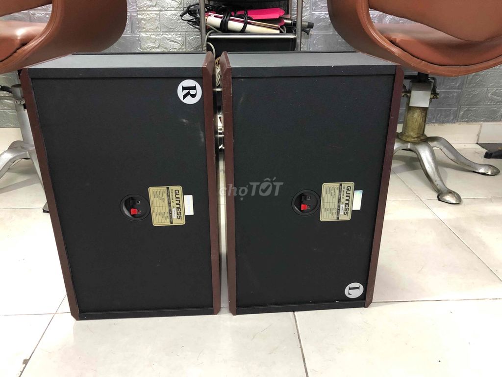 loa Gunness bass 25cm(sống nhạc). Mua bán Tivi, Âm thanh tại Quận 1 Tp Hồ Chí Minh được đăng bởi Lê Tấn Viên hình 3