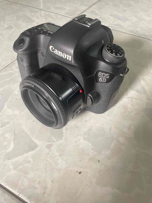 Canon 6D len YN 50 F1.8