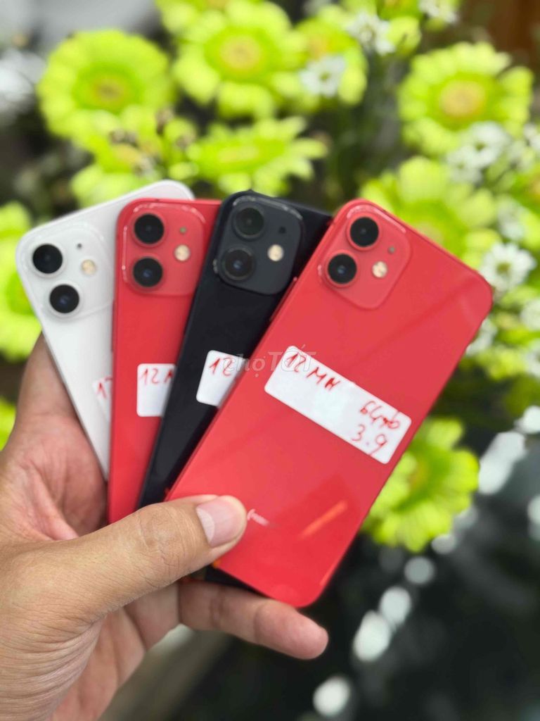 12 mini zin đẹp full quốc tế- thanh lý giá hạt dẻ. Mua bán Điện thoại tại Thành phố Dĩ An Bình Dương được đăng bởi Phúc hình 1