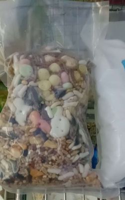 Chuột Hamster Trắng Cái 