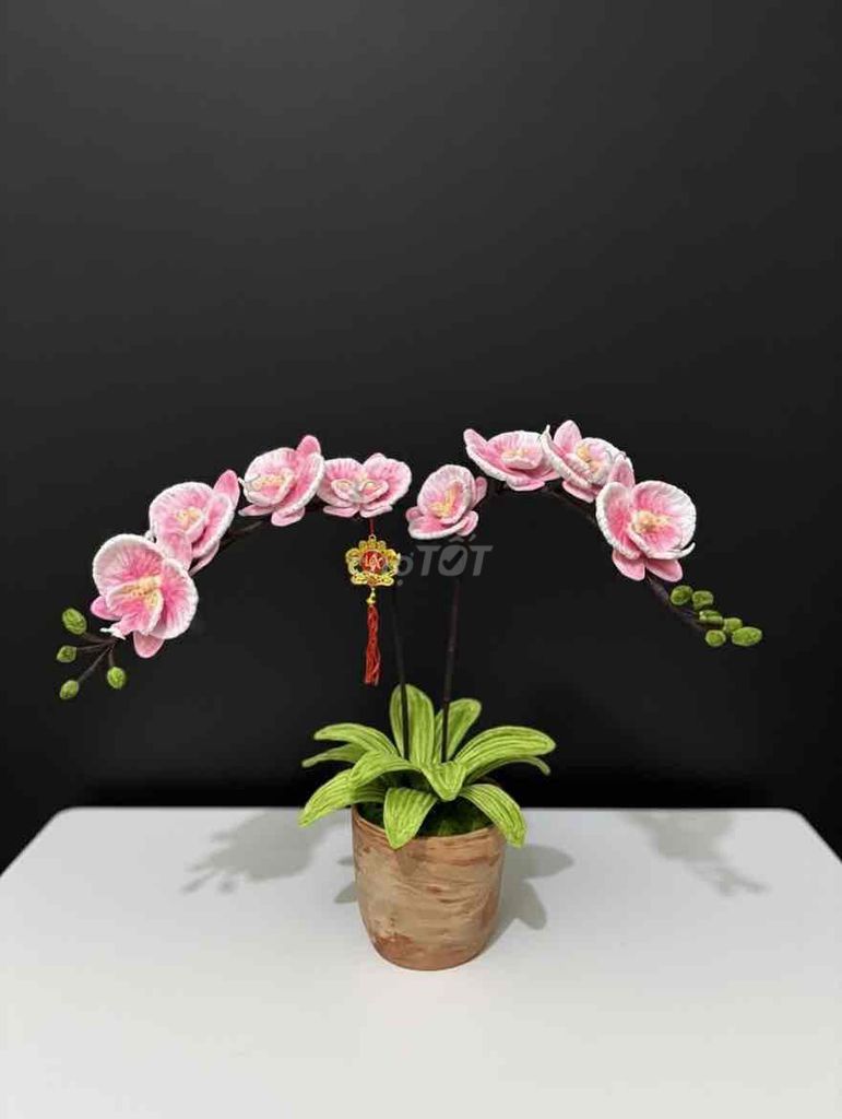 Chậu hoa lan Handmade. Mua bán Cây cảnh, đồ trang trí tại Thành phố Biên Hòa Đồng Nai được đăng bởi Linh  hình 1