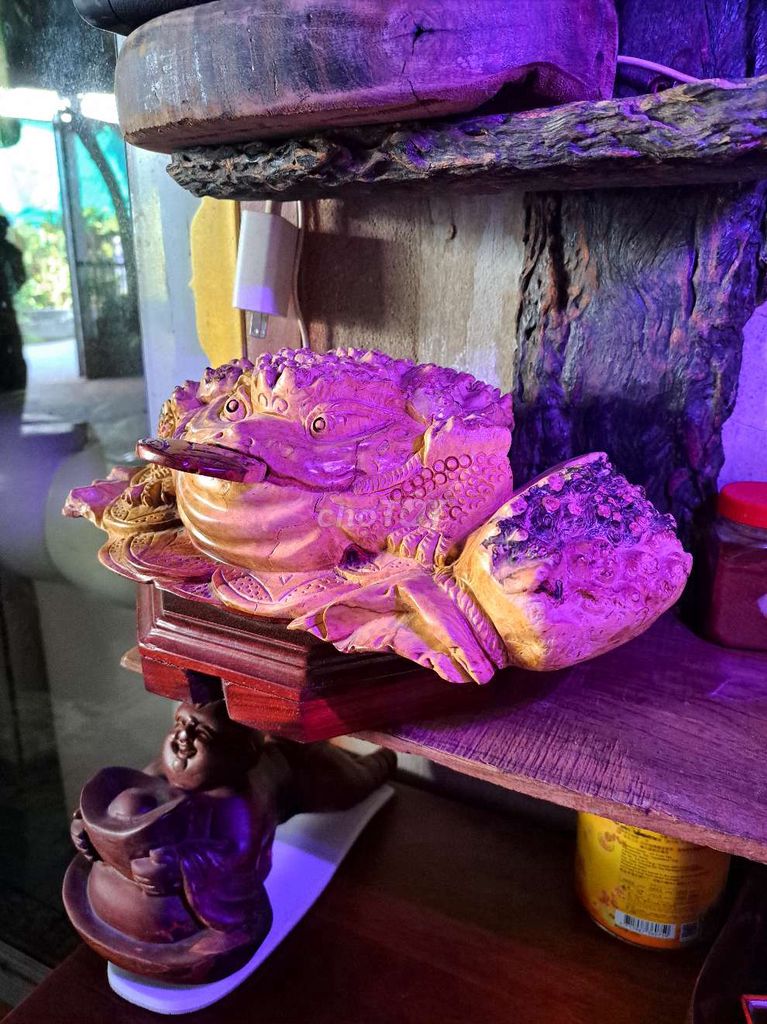 Đồ trang trí gỗ Cóc ngậm tiền. Mua bán Cây cảnh, đồ trang trí tại Thành phố Thuận An Bình Dương được đăng bởi Thuongnguyen hình 1