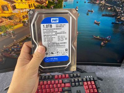 Ổ CỨNG 1TB WD AE LẮP MÁY BAO ÊM RIN KENG