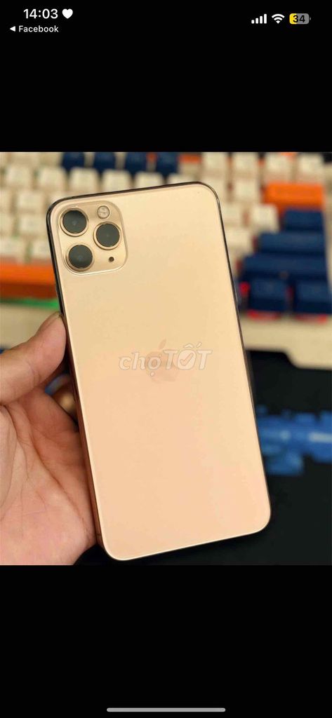 ip 11prm / 256gb / pin new 100 / quốc tế 🇱🇷. Mua bán Điện thoại tại Thành phố Biên Hòa Đồng Nai được đăng bởi Trần Ngọc Minh Anh hình 1