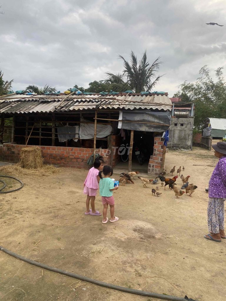 vệ sinh dọn dẹp theo giờ tại tp.hcm. Dịch vụ dọn dẹp nhà tại Quận Bình Thạnh Tp Hồ Chí Minh được đăng bởi Út Thủy hình 1