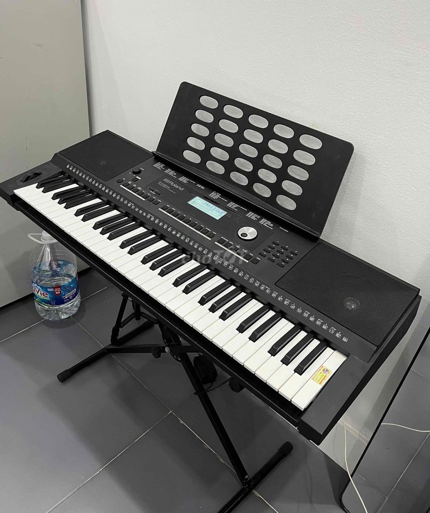 Thanh Lý Đàn Organ Roland EX20A Siêu Mới