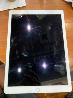 Apple iPad Pro 12.9 inch LTE có khe sim