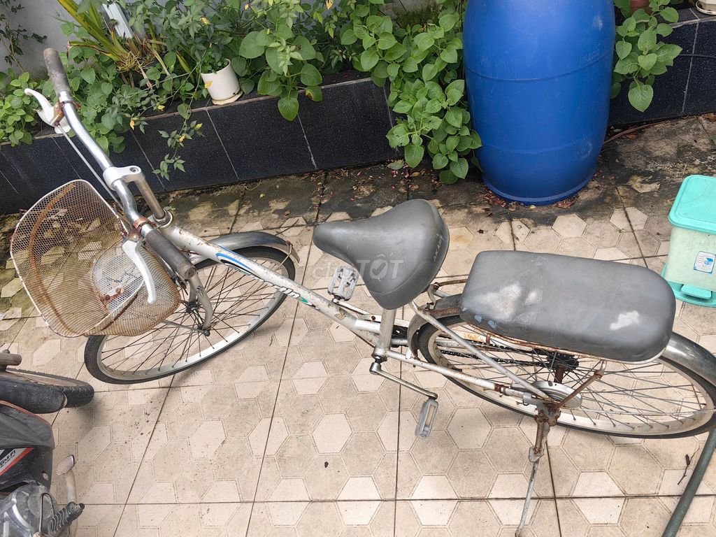 Bán xe đạp martin màu bạc. Mua bán Xe đạp tại Huyện Xuyên Mộc Bà Rịa - Vũng Tàu được đăng bởi Thiên Vân hình 3