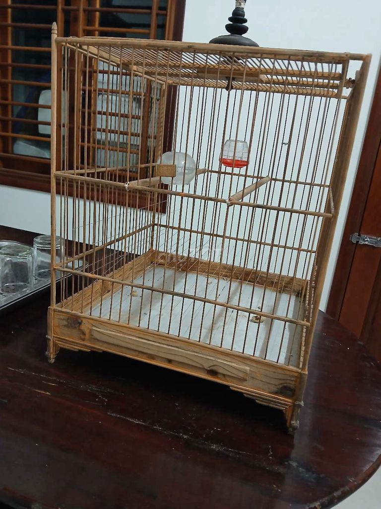 Lồng chim tre nan sít. Mua bán Phụ kiện, Thức ăn, Dịch vụ tại Thành phố Huế Thừa Thiên Huế được đăng bởi Hiêu hình 1