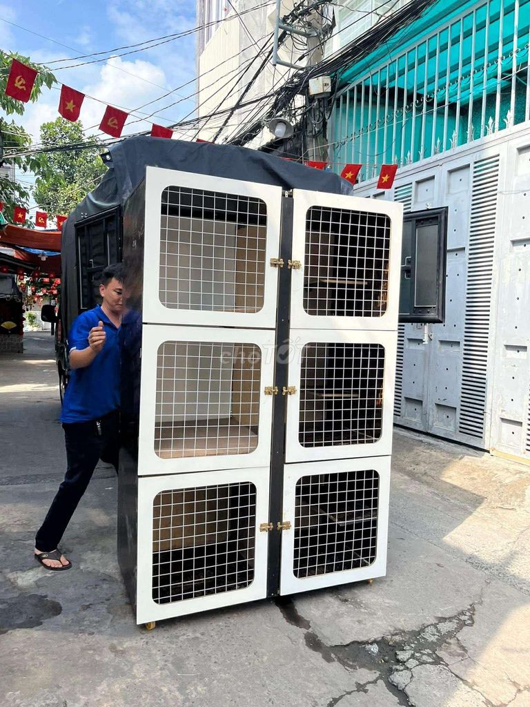 Chuồng mèo Ván plywood 3 tầng. Mua bán Phụ kiện, Thức ăn, Dịch vụ tại Quận 7 Tp Hồ Chí Minh được đăng bởi Hoà Nguyễn hình 1