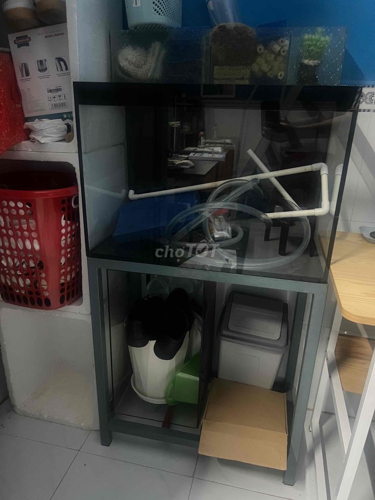 Thanh lý tất cả gồm hồ, chân hồ, lọc, bơm ,…. Mua bán Phụ kiện, Thức ăn, Dịch vụ tại Quận Ninh Kiều Cần Thơ được đăng bởi Nguyễn Thanh Liêm hình 5