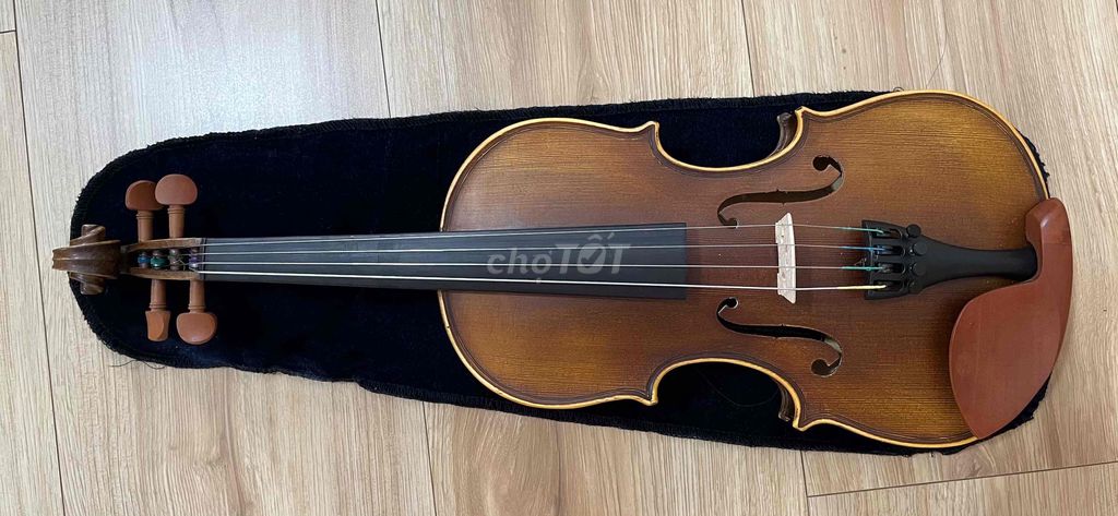 Đàn Violin Nâu gỗ 2/4 hiệu Tiến’s Violin. Mua bán Nhạc cụ tại Quận 6 Tp Hồ Chí Minh được đăng bởi Hào hình 1