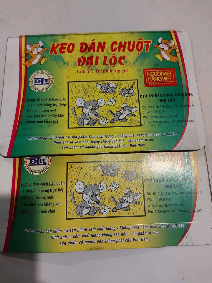 COMBO 2 MIẾNG KEO DÁN CHUỘT CÔNG TY ĐẠI LỘC