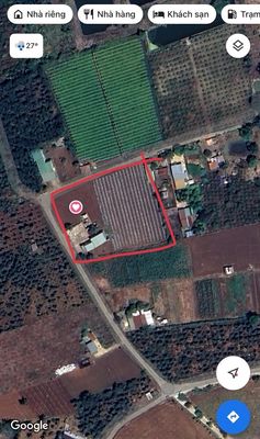 Cho thuê Nhà và Đất tại thôn 2 xã Eakao, Tổng diện tích 3.500m2