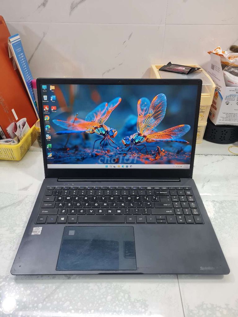 Toshiba Satellite Pro C50-H i5-1035G1. Mua bán Laptop tại Quận Tân Phú Tp Hồ Chí Minh được đăng bởi T COMPUTER hình 1