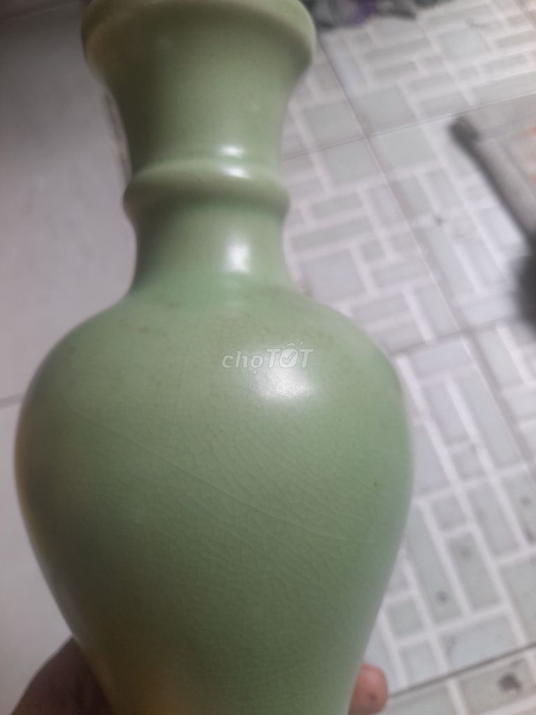 Đồ sưu tầm Gốm sứ Nhiều màu