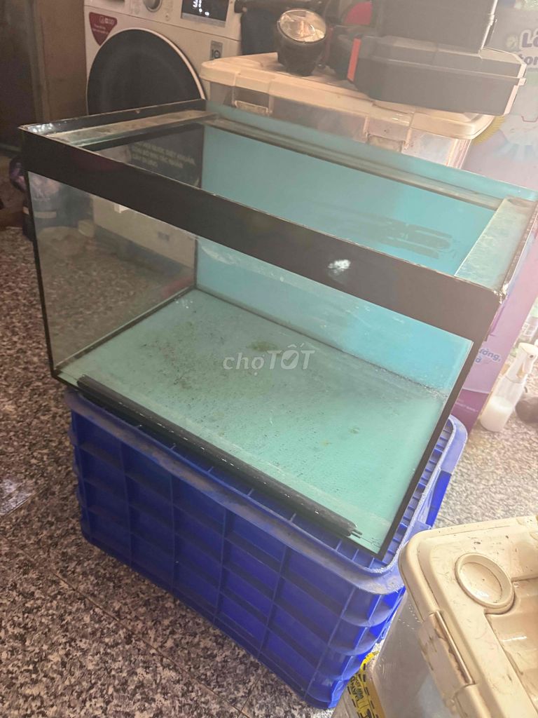 Hồ cá 60x40 kèm Lọc, sủi oxi. Mua bán Phụ kiện, Thức ăn, Dịch vụ tại Huyện Trảng Bom Đồng Nai được đăng bởi Đồng hình 1