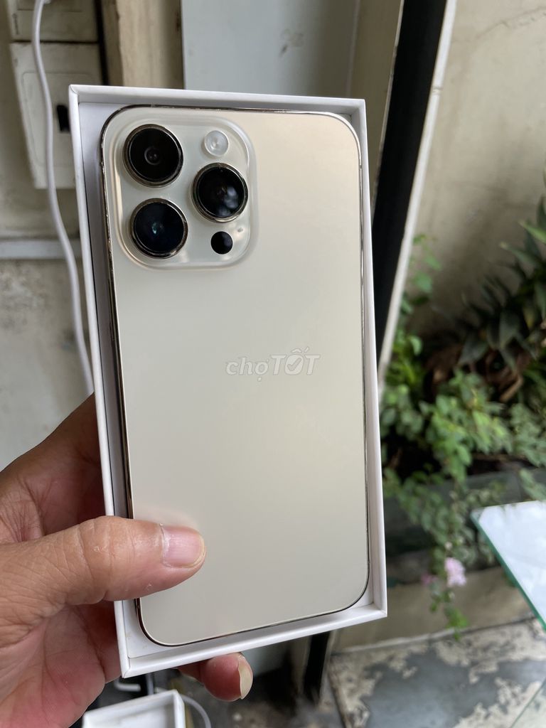 Apple iPhone 14 Pro Max 256GB Vàng Đã sử dụng. Mua bán Điện thoại tại Quận 1 Tp Hồ Chí Minh được đăng bởi Hoàng Anh hình 1