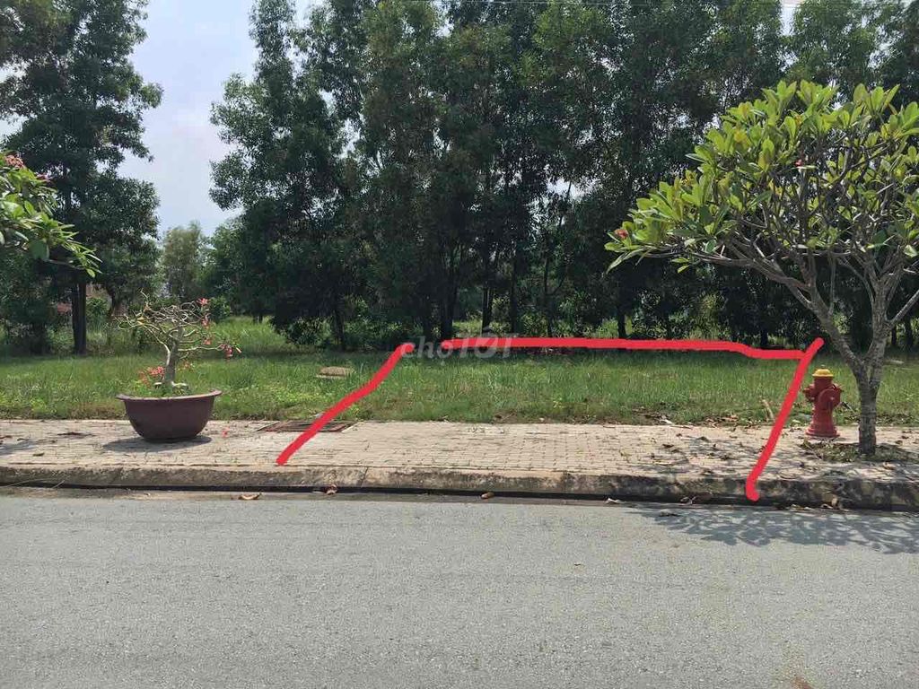 Bán đất KDC Làng Sen Việt Nam