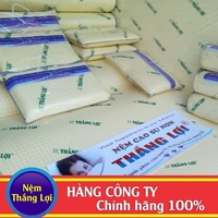 Cửa hàng nệm cao su Thiên Phúc