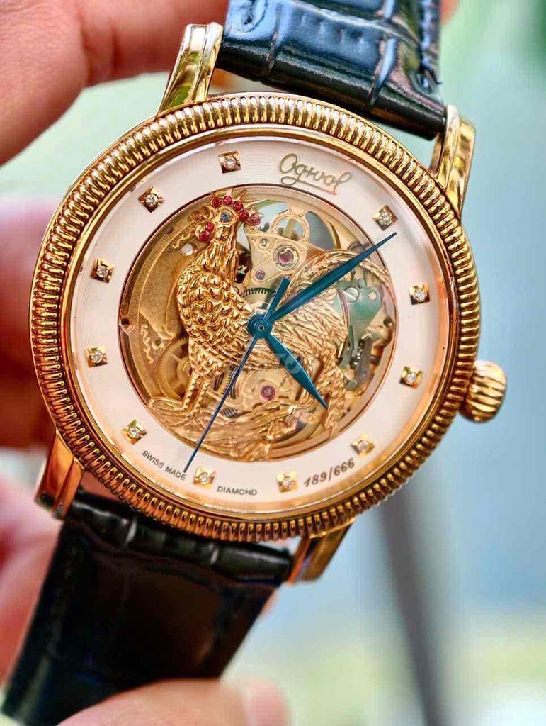 Ogival Kim Kê Skeleton Diamond 42mm Đã qua sử dụng. Mua bán Đồng hồ tại Quận Hoàng Mai Hà Nội được đăng bởi tuấn ninh  hình 1