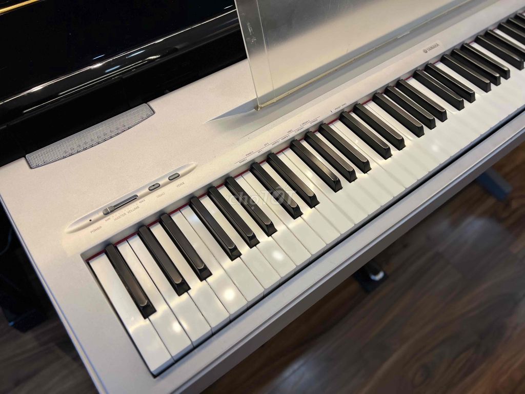 Piano điện Yamaha Nhật Model P60