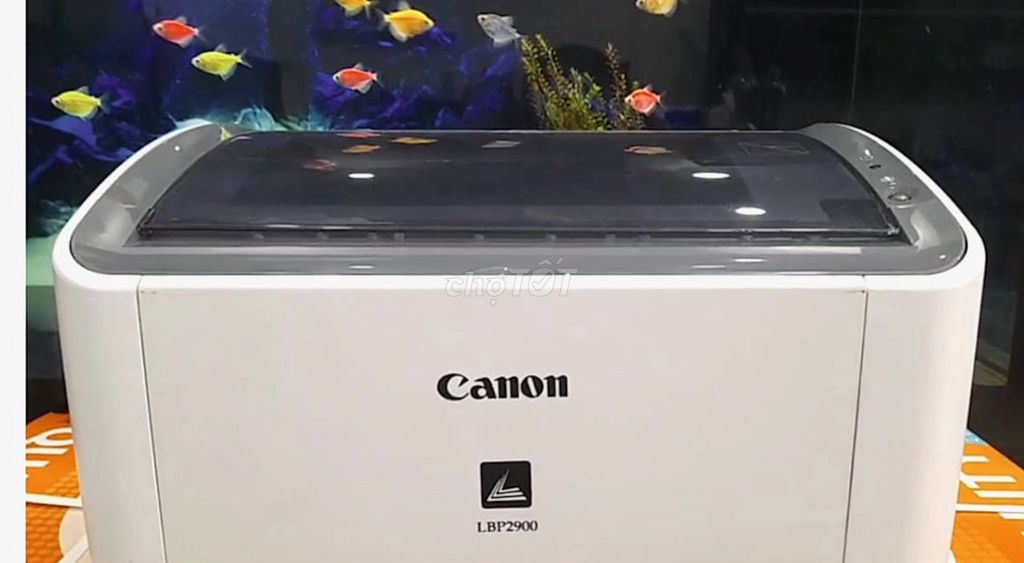 Máy in Canon LBP2900 Trắng đen Trắng. Mua bán Đồ dùng văn phòng tại Quận Bình Tân Tp Hồ Chí Minh được đăng bởi Máy in cũ giá rẻ hình 1