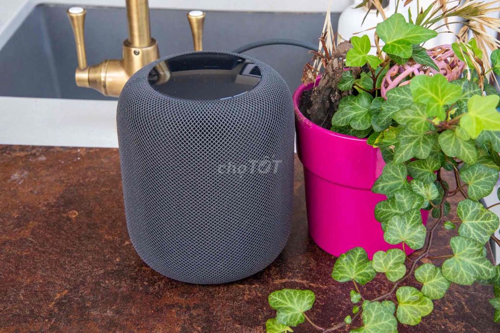 thanh lý Loa Home pod 1 Apple active 2020. Mua bán Tivi, Âm thanh tại Thành phố Đà Lạt Lâm Đồng được đăng bởi lộc  hình 2