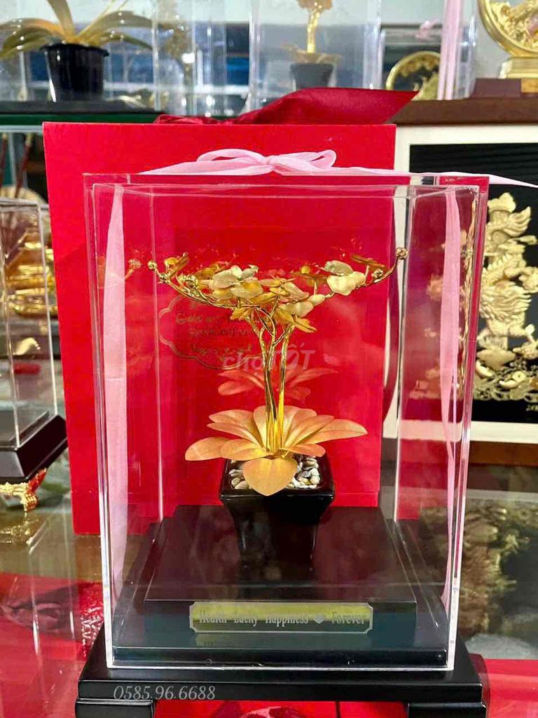 Cây cảnh trang trí Kim loại mạ vàng Hiện đại. Mua bán Cây cảnh, đồ trang trí tại Huyện Thiệu Hóa Thanh Hóa được đăng bởi Đồ đồng Vũ Đình Sơn  hình 1