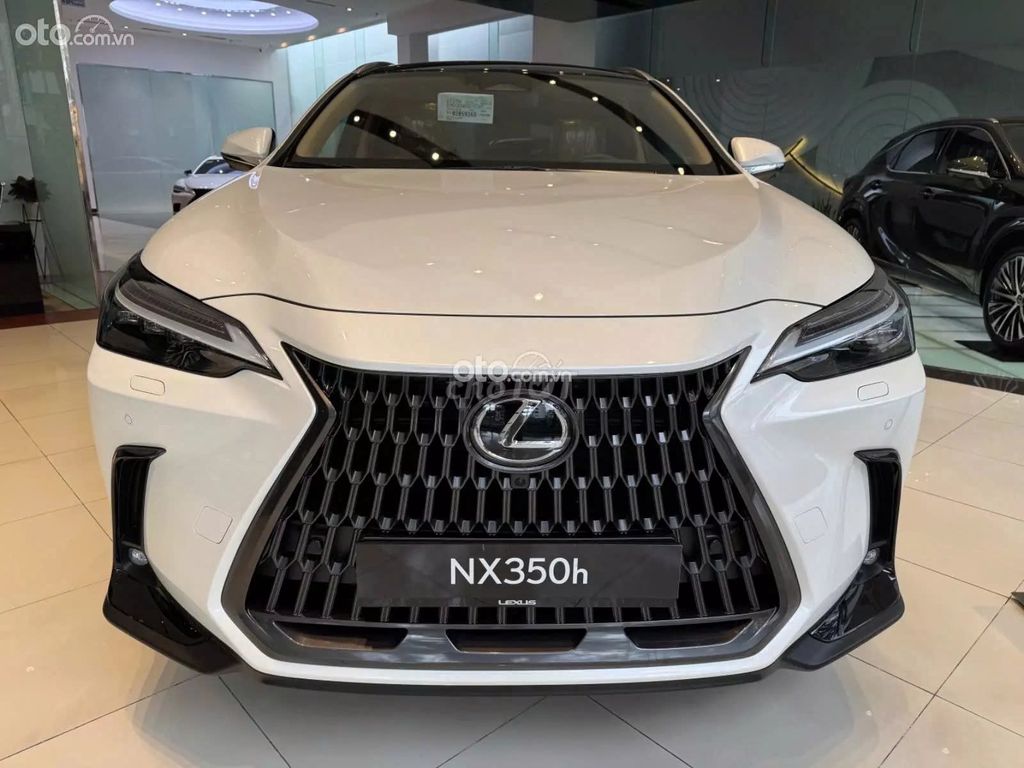 Ảnh số 6
