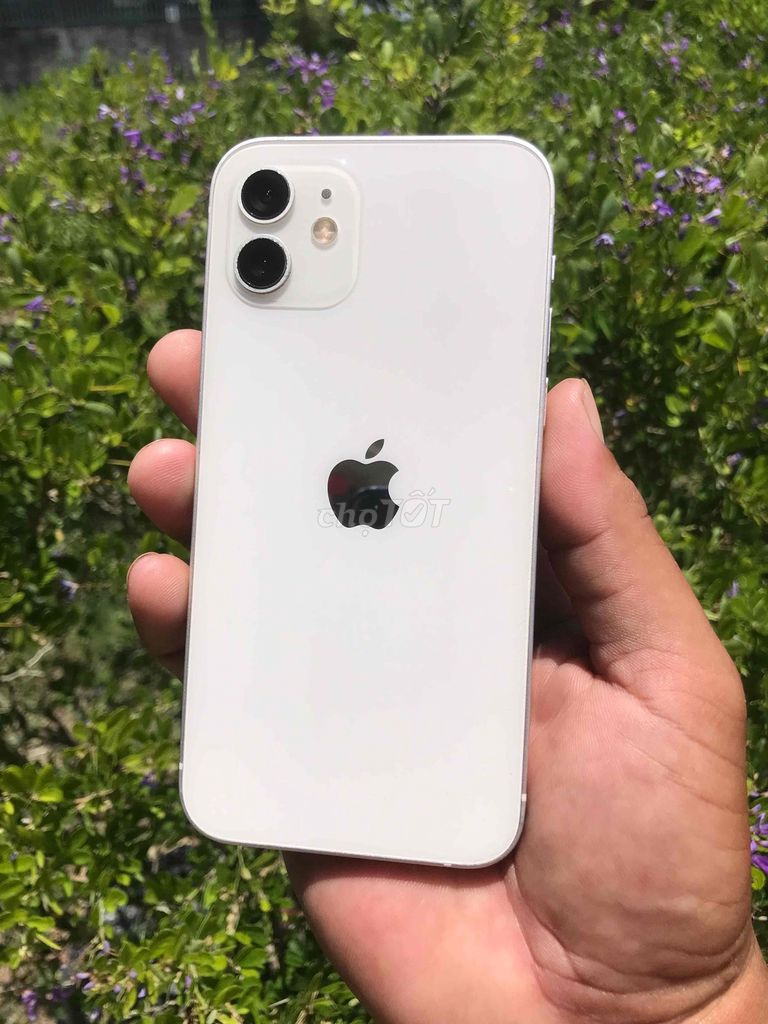 Apple iPhone 12 64GB Trắng. Mua bán Điện thoại tại Thành phố Sóc Trăng Sóc Trăng được đăng bởi Châu Tinh Tinh hình 1