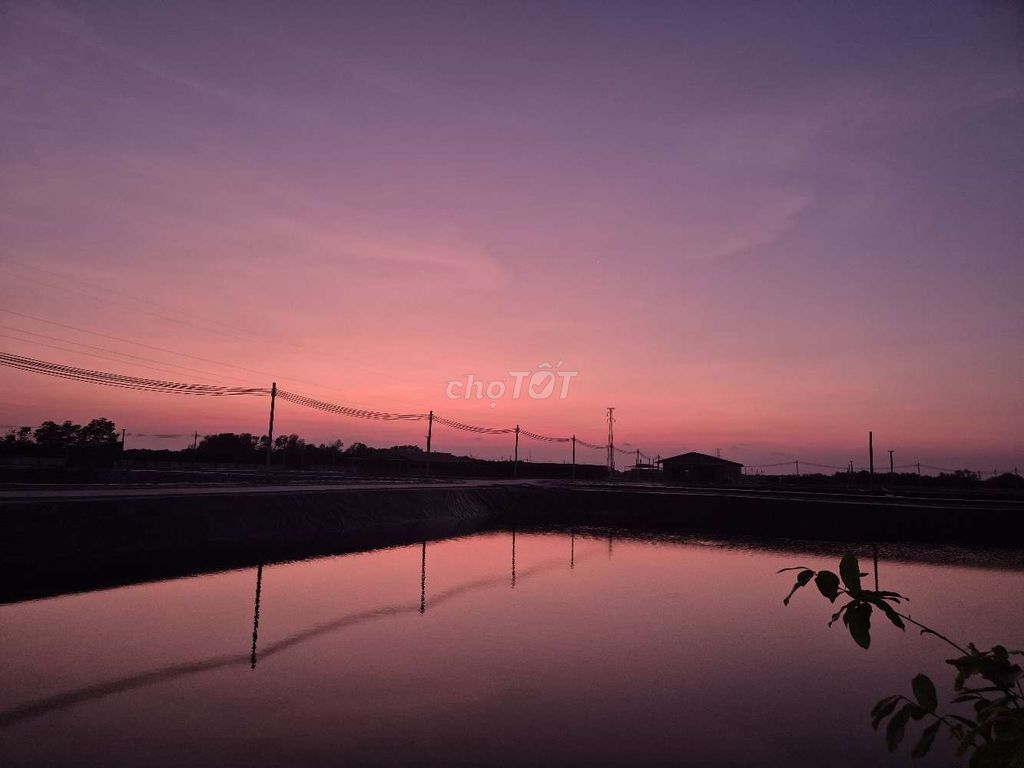 FARM TÔM DK TUYỂN KẾ TOÁN TỔNG HỢP. Việc làm tại Huyện Thạnh Phú Bến Tre được đăng bởi FARM TÔM DIN KY THẠNH PHÚ hình 4