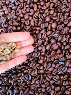 Cà phê Robusta - Đắk MiL - Rang Mộc Thơm Ngon. Mua bán Đồ ăn, thực phẩm và các loại khác tại Quận Ninh Kiều Cần Thơ được đăng bởi Quốc Đại