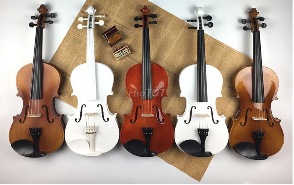 Đàn Violin Woim Gỗ Full Size 4/4 Đủ 5 Màu. Mua bán Nhạc cụ tại Quận Bình Thạnh Tp Hồ Chí Minh được đăng bởi Piano Lovers hình 1
