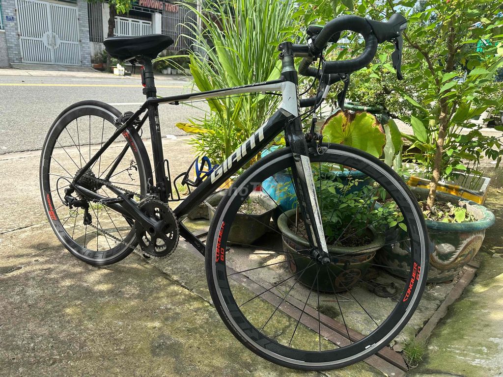 Bán xe đạp Giant. Mua bán Xe đạp tại Thành phố Thủ Dầu Một Bình Dương được đăng bởi Minh Phụng hình 2