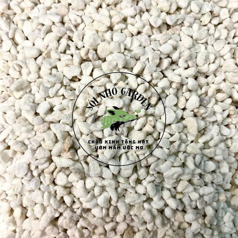 Đá PERLITE (200gr) - [ SÓI NHỎ GARDEN ]