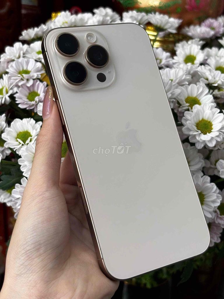 16 Pro Max 256GB Sa Mạc VN Pin 87 imei 992828. Mua bán Điện thoại tại Quận Ninh Kiều Cần Thơ được đăng bởi Quý Mobile Cần thơ hình 1