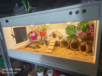 thanh lý chuồng gà Rutin. Mua bán Phụ kiện, Thức ăn, Dịch vụ tại Quận 10 Tp Hồ Chí Minh được đăng bởi Quang Trung