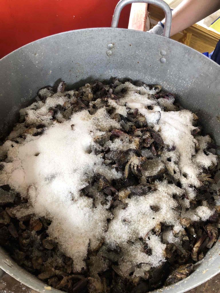 Ba khía trộn sẵn bỏ tủ lạnh ăn dần 1,1-1,3kg 1 hủ. Mua bán Đồ ăn, thực phẩm và các loại khác tại Thành phố Thủ Đức Tp Hồ Chí Minh được đăng bởi Lâm Dỉ hình 3