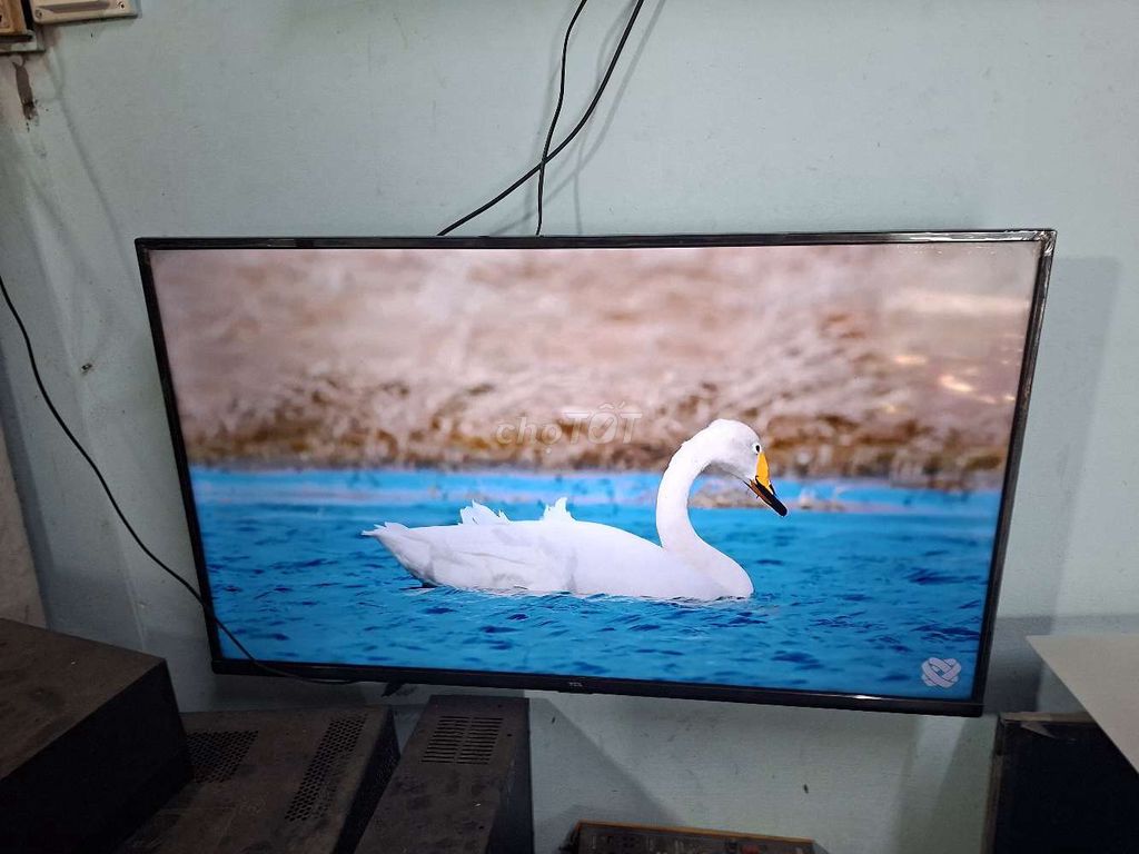 Tivi TCL 43 inch Đã qua sử dụng. Mua bán Tivi, Âm thanh tại Huyện Châu Thành Tiền Giang được đăng bởi trongduy hình 1