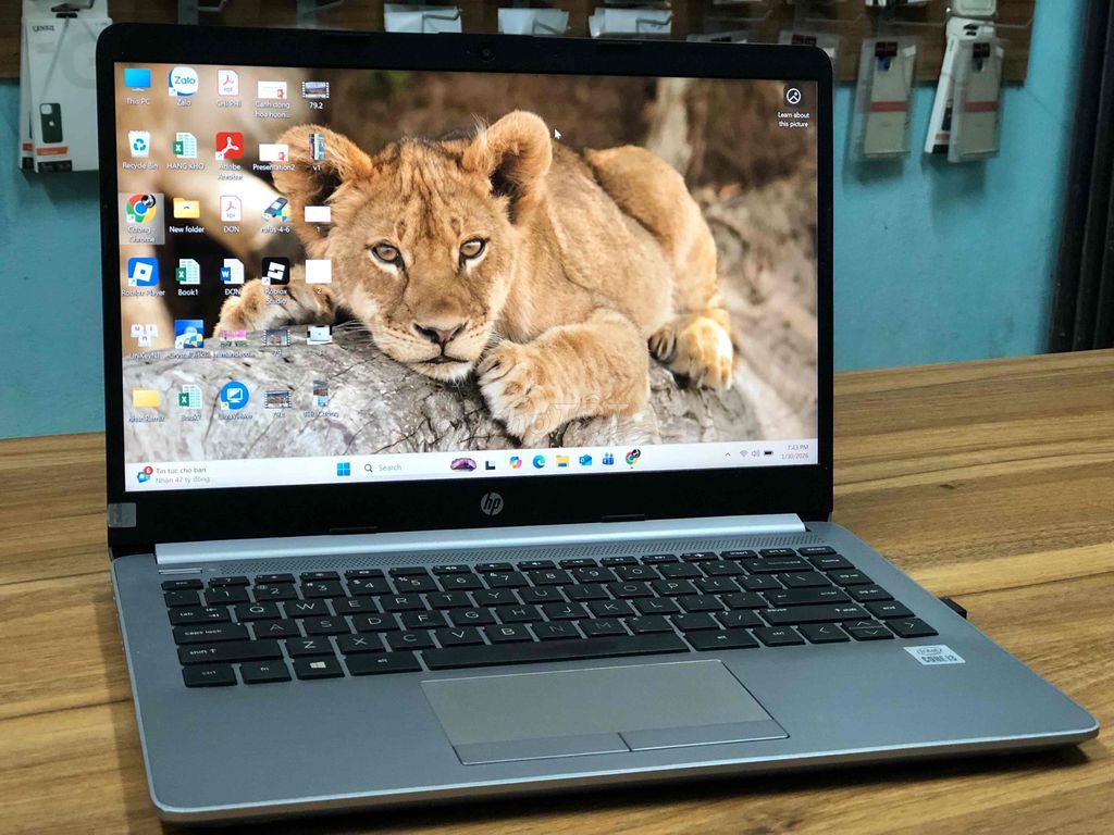 Thanh lý laptop HP 240G8 máy còn mới. Mua bán Laptop tại Thành phố Qui Nhơn Bình Định được đăng bởi Nguyễn Cường hình 1