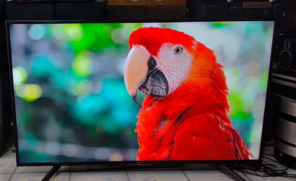 Tivi Sony 55 inch Sắc nét Sống động. Mua bán Tivi, Âm thanh tại Quận Thanh Xuân Hà Nội được đăng bởi ThanhNga hình 1