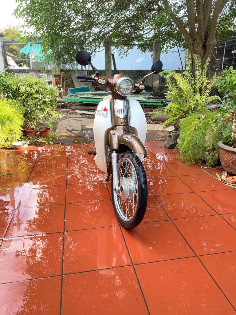 Cub Led 50cc 2023 Zin Chính Chủ