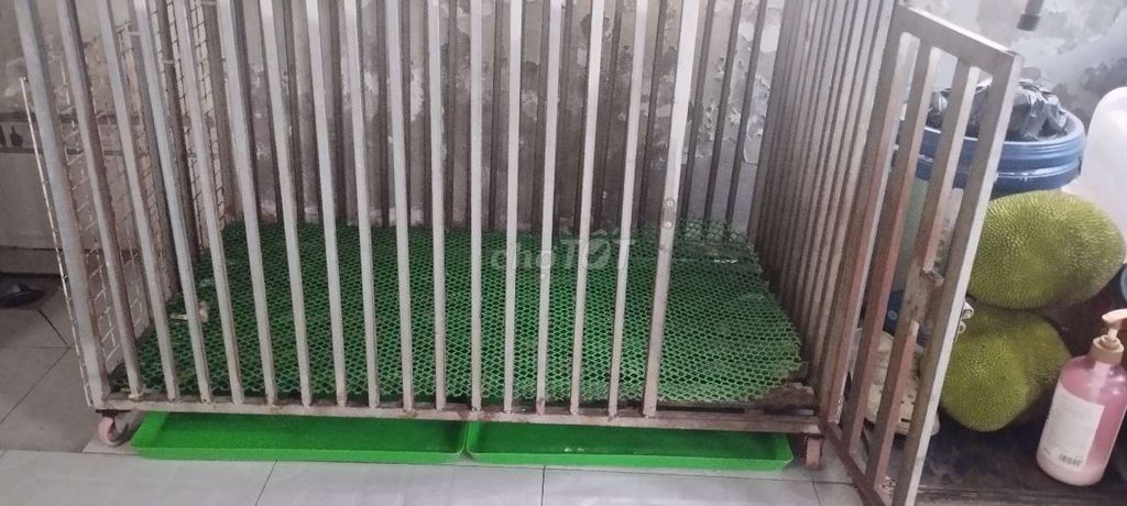 Chuồng chó kim loại 1m1x65x65cm. Mua bán Phụ kiện, Thức ăn, Dịch vụ tại Thị xã Bến Cát Bình Dương được đăng bởi Hung Tran hình 1