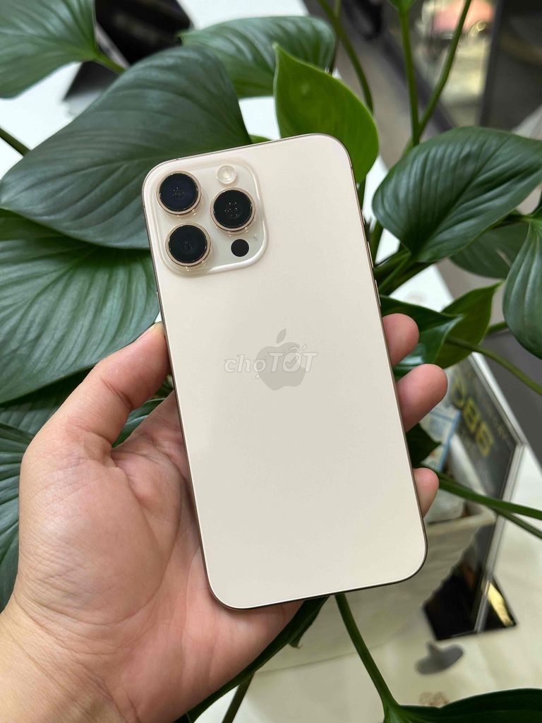 16 Pro Max 256GB VN Pin 100 BH 12/2026 đẹp keng. Mua bán Điện thoại tại Quận Ninh Kiều Cần Thơ được đăng bởi Quý Mobile Cần thơ hình 1