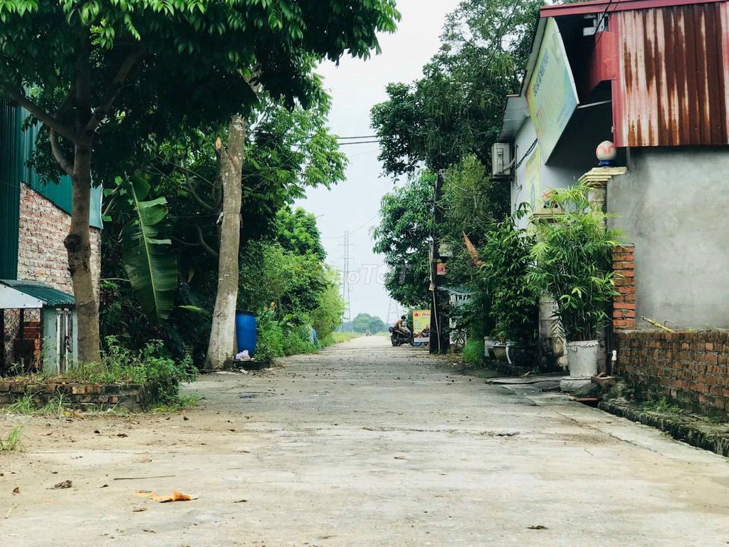 Cần Bán Gấp 69,5m2 đất Đường Yên, Xuân Nộn, Đông Anh, Hà Nội