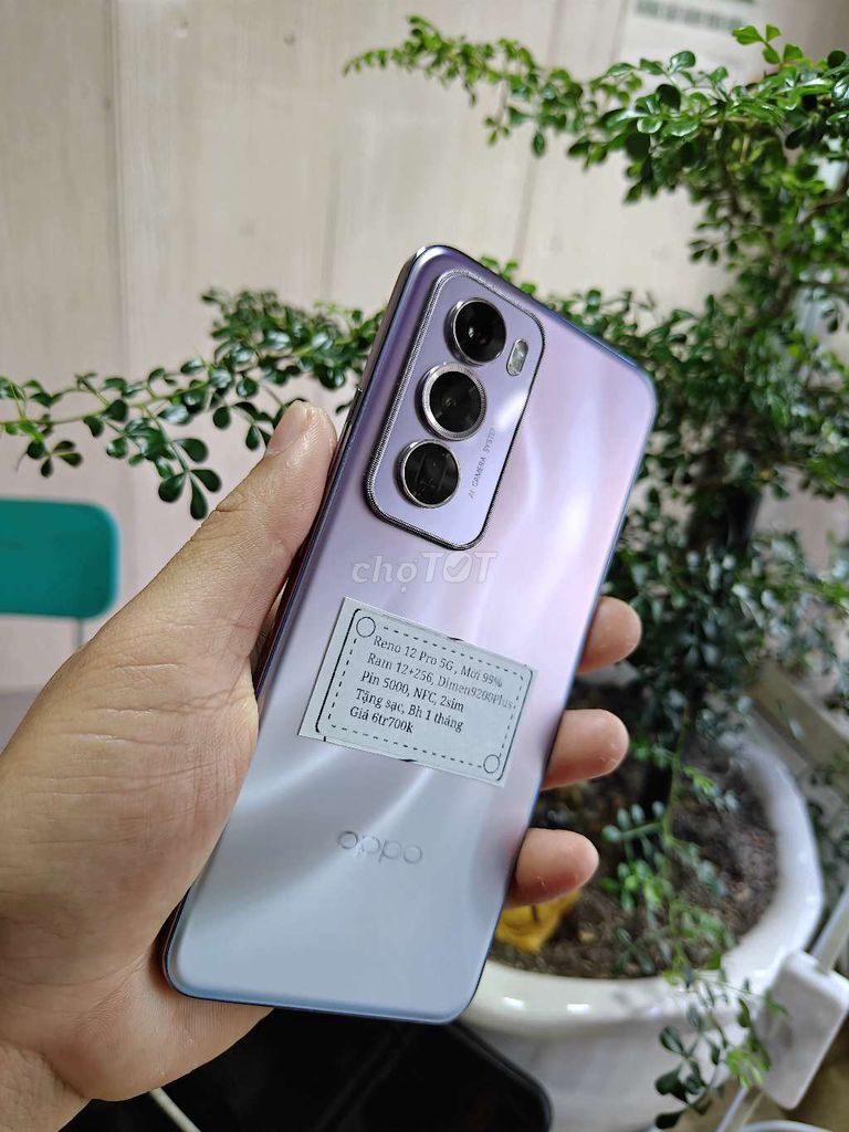 Reno 12 Pro 5G Tím 12/256Dimen9200. Mua bán Điện thoại tại Huyện Trảng Bàng Tây Ninh được đăng bởi Sun Mobile Shop Điện Thoại Trảng Bàng Tây Ninh 01 hình 1