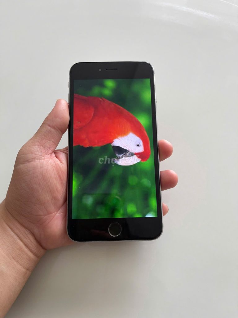 Apple iPhone 6s Plus 16GB Xám. Mua bán Điện thoại tại Quận Ninh Kiều Cần Thơ được đăng bởi Nguyễn An VN hình 1
