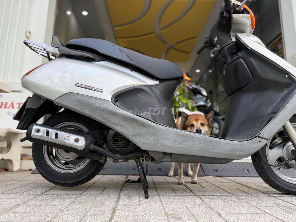 🌈 SPACY 83 NGAY CHỦ MÁY ZIN ÊM XE CỨNG CÁP💥CÓ GÓP💥. Mua bán Xe máy tại Thành phố Sóc Trăng Sóc Trăng được đăng bởi Mạnh Huỳnh hình 4