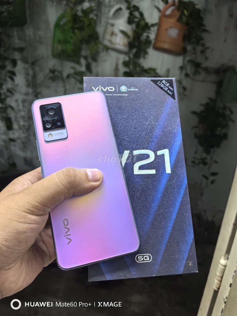 Vivo V21 5G 8/128GB Chính Hãng VN Fullbox. Mua bán Điện thoại tại Quận 7 Tp Hồ Chí Minh được đăng bởi Minh Thắng hình 1